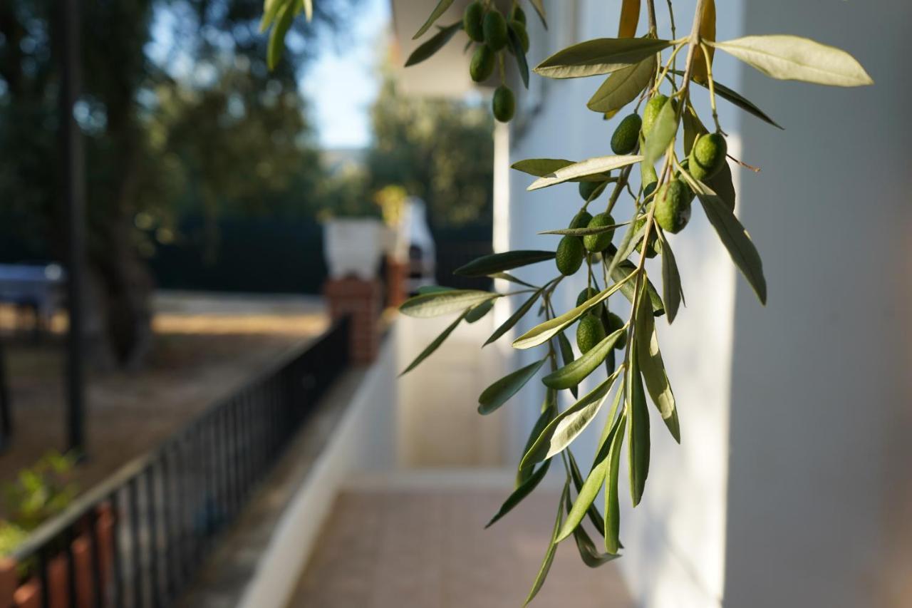 Olive&Sea Villa-Sea Mattinata Exteriör bild