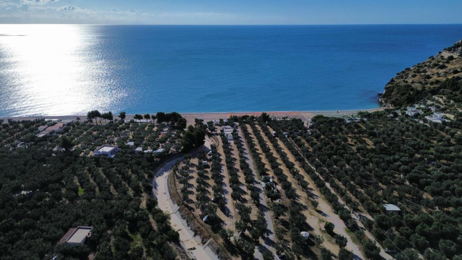 Olive&Sea Villa-Sea Mattinata Exteriör bild